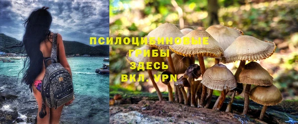 Альфа ПВП Балахна