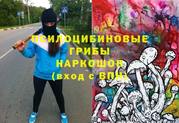 Альфа ПВП Михайлов